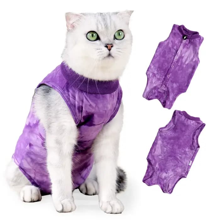 Glaçage de stérilisation pour chats de petite et moyenne taille