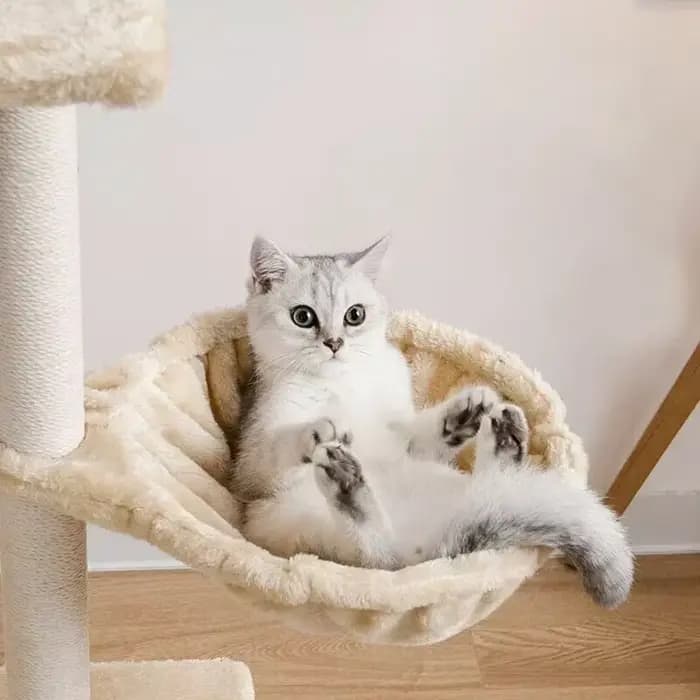 Mir en Peluche Chaud et Confortable pour Chat