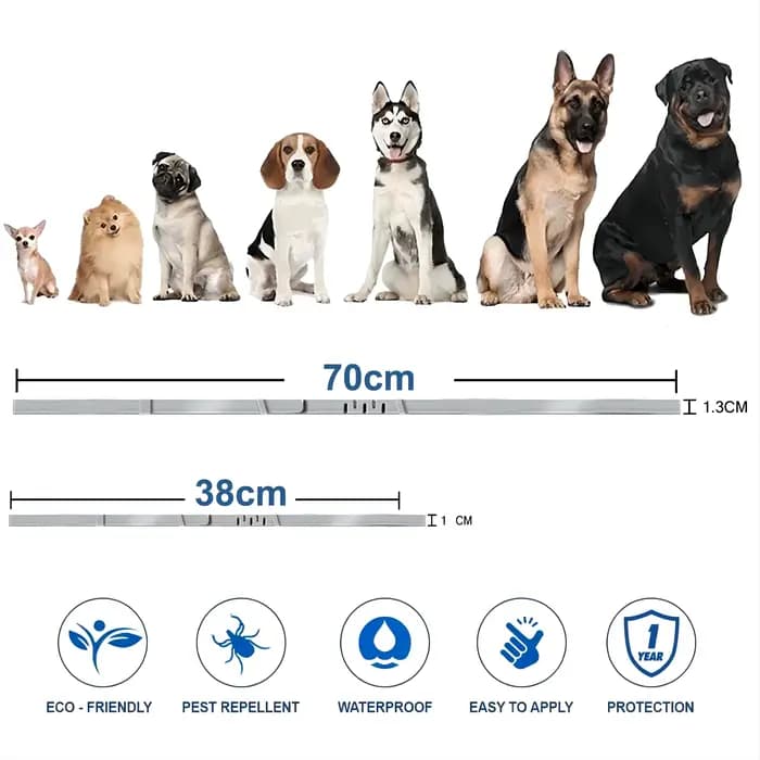 VIP livraison directe collier de chien chiot chat 70 cm 38 cm pour petits chiens chats