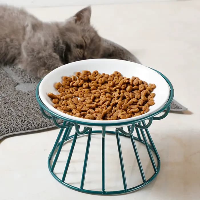 Bol pour chat amable aux moustaches