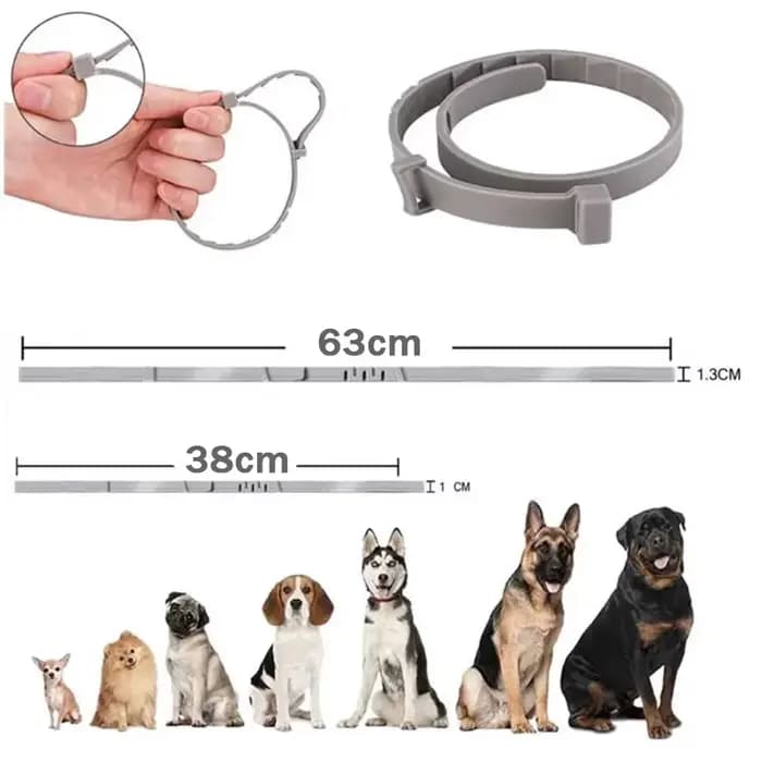 Colliers apaisants aux phéromones pour chats et chiens