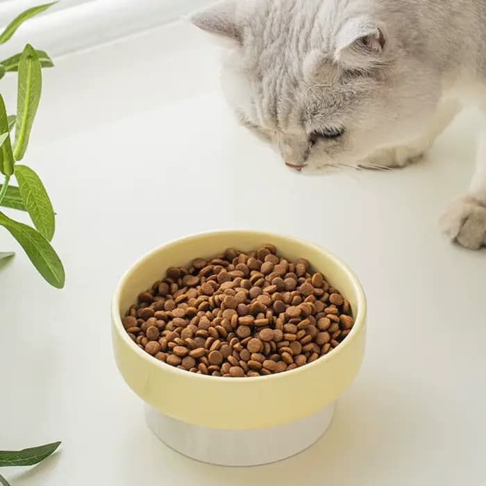 Gamelle créative en céramique pour chat