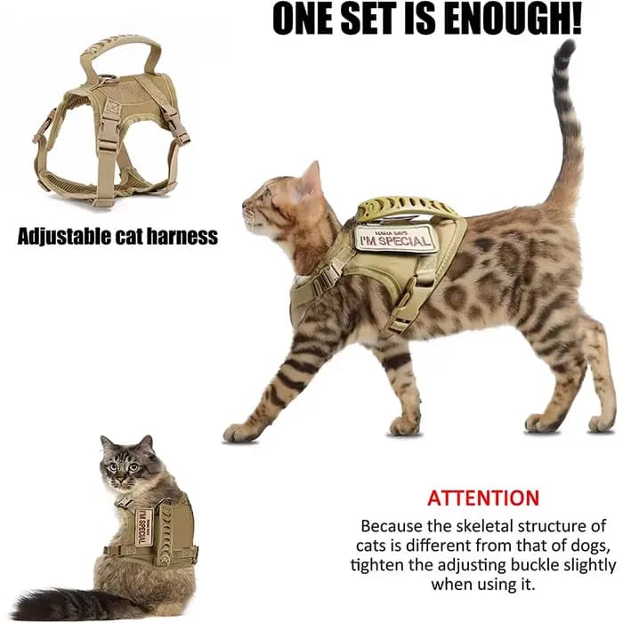 Harnais tactique pour chat