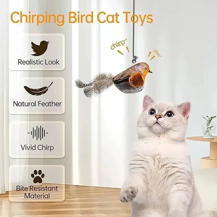 Jouet interactif d'intérieur pour chat, oiseaux sonores avec herbe à chat, pour la poursuite et le chatouillage, jouet mural auto-amusant pour chat
