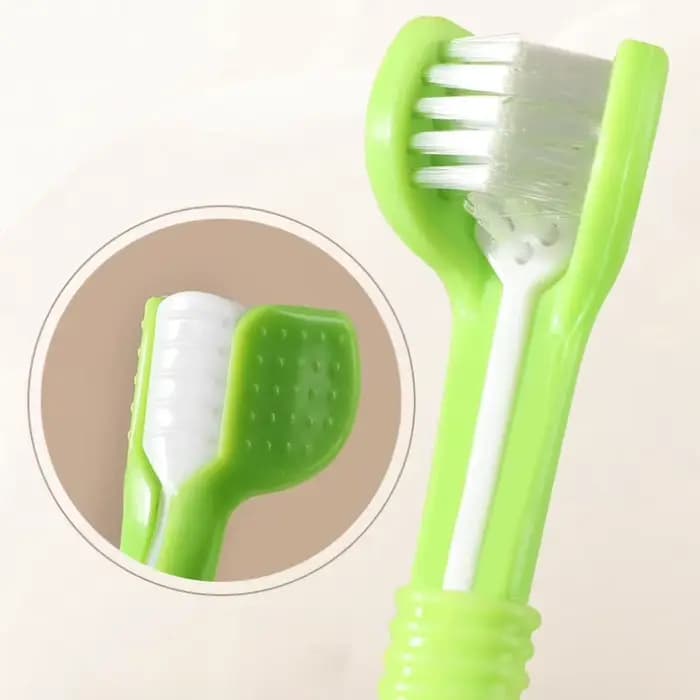 Brosse à dents de nettoyage pour animaux de compagnie
