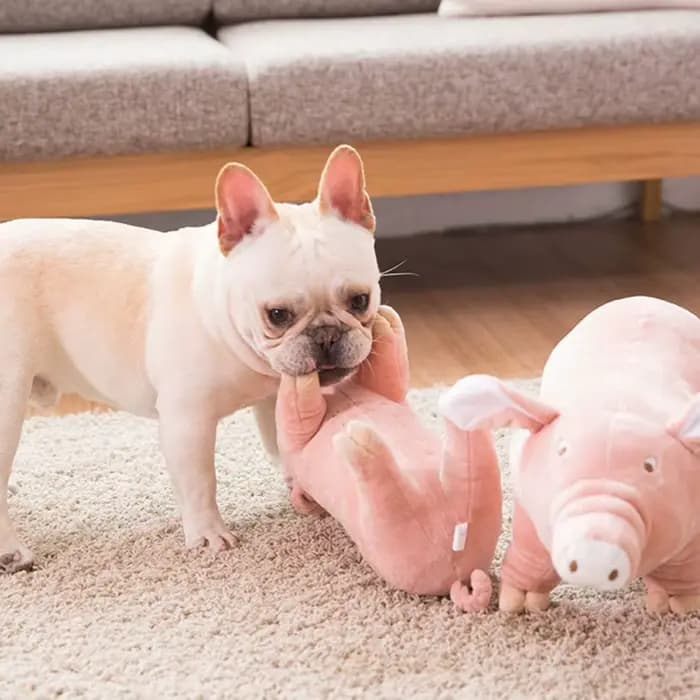 Jouet à mâcher en peluche pour animaux de compagnie