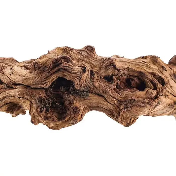 Branche de bois naturel pour animaux de compagnie