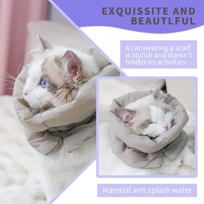 Un col chaud coloré et à la mode pour animaux de compagnie et une écharpe imperméable pour les chats pour empêcher les lécher et le morder après la stérilisation surtension