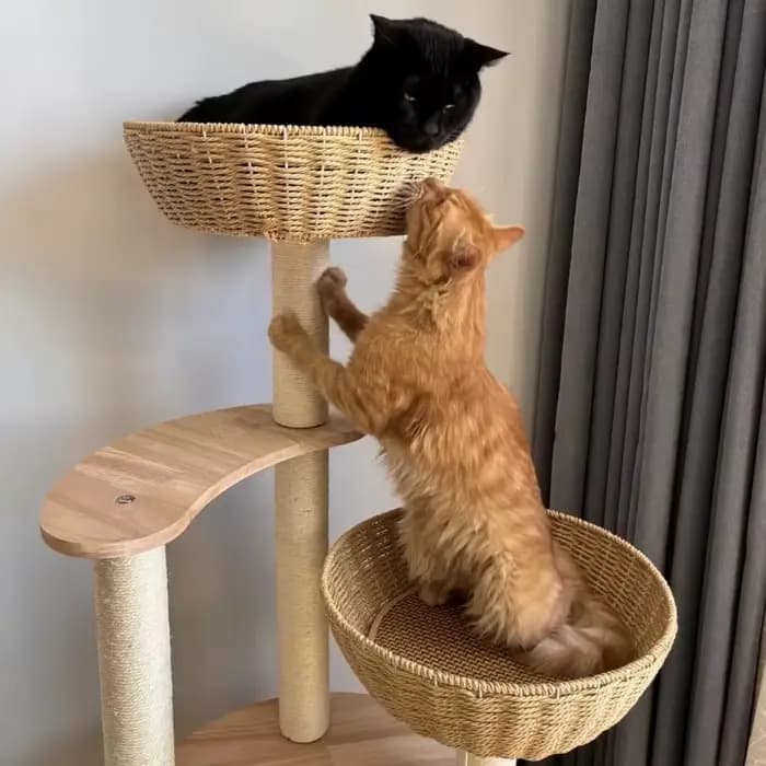 Tour à chat multi-niveaux en bois gris du sol au plafond, arbre à chat en bois