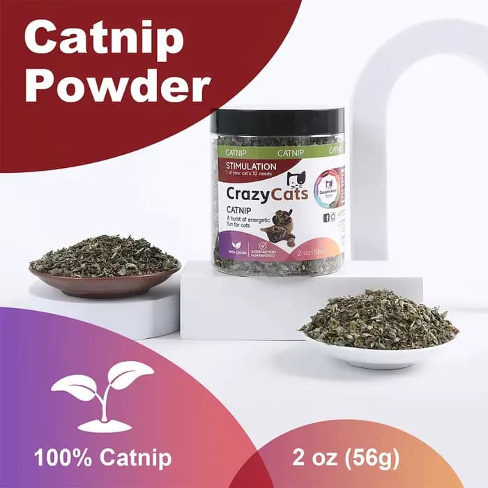 Pet's Cat Premium Catnip-56g Pot de cataire à haute puissance