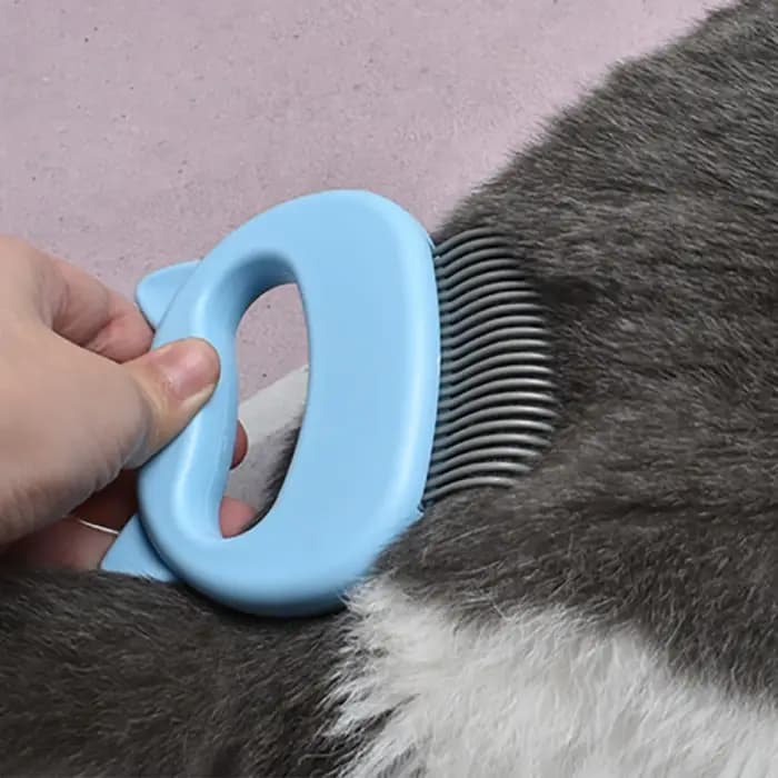 Peigne à cheveux pour chat