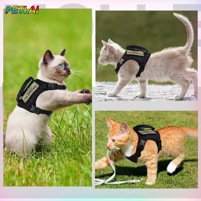 Harnais et laisse tactiques pour chat
