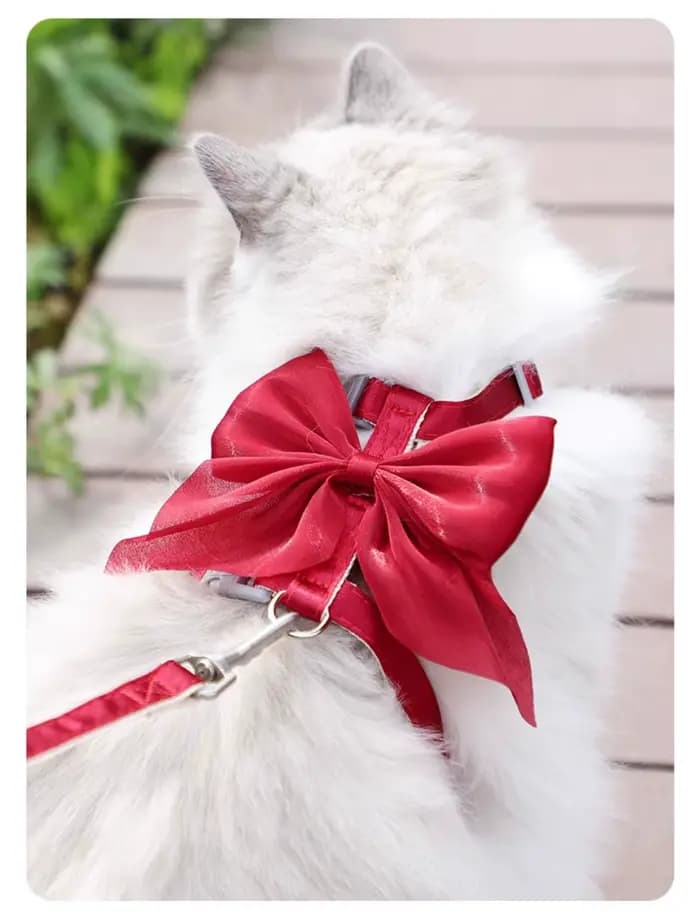 Ensemble Harnais et Laisse pour Chat avec Grand Nœud
