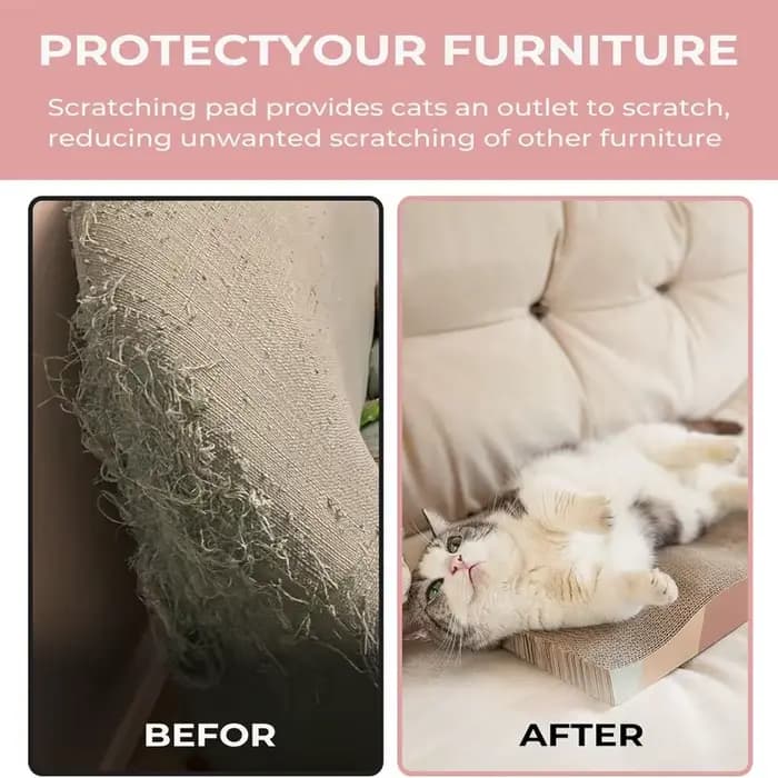 Griffoir pour chat en carton ondulé multi-formes