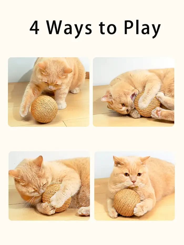 Balle à gratter interactive en Sisal pour chat
