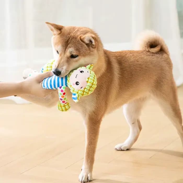 Jouet en peluche pour animaux de compagnie