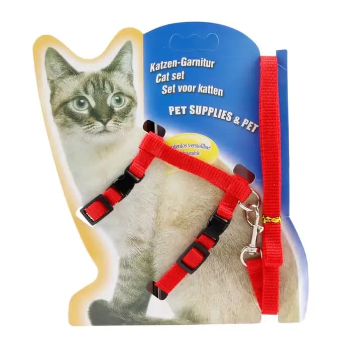 Harnais et laisse pour chat