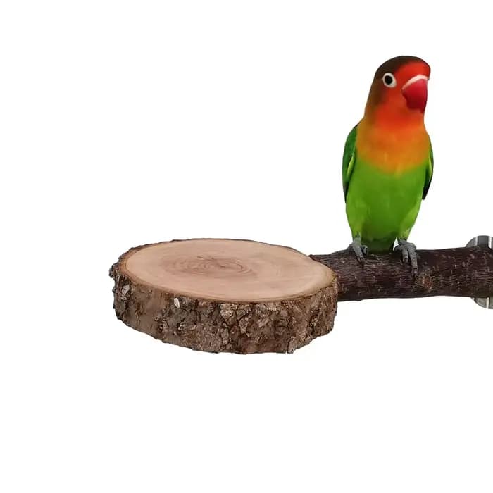 Arbre à pommes naturel en bois pour perroquet