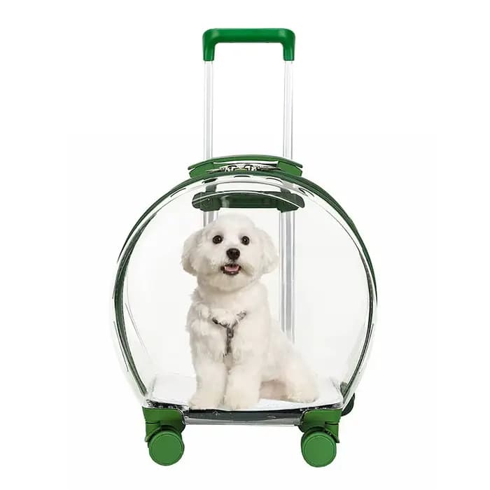 Chariot valise transporteur Transparent sac de transport pour animaux de compagnie chats transporteurs et poussettes