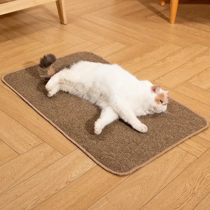 Grand tapis anti-rayures pour chat
