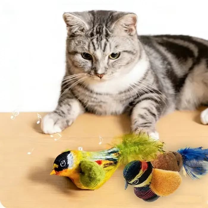Jouet interactif d'intérieur pour chats