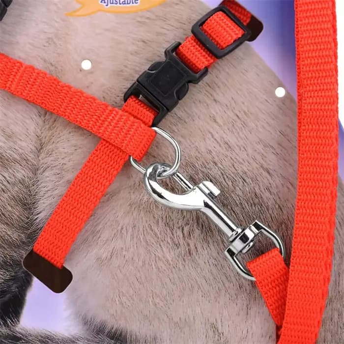 Collier réglable en nylon pour animal de compagnie