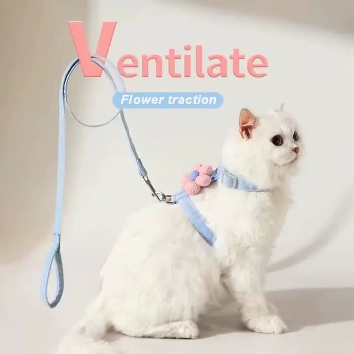 Ensembles de harnais et de laisse pour chat