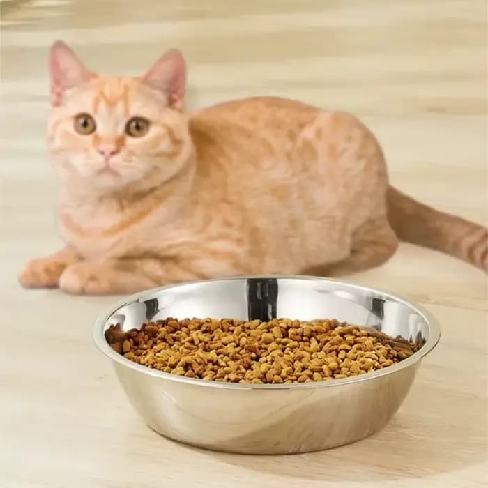 Bol pour animaux de compagnie en acier inoxydable pour chiens et chats