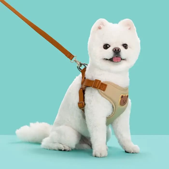 Harnais créatif et mignon pour animaux de compagnie