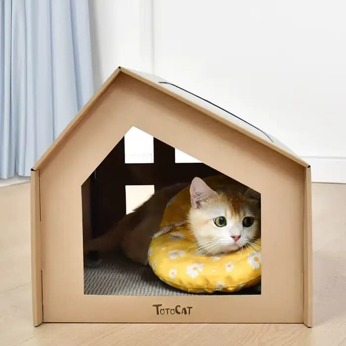 Maison de chat en papier avec tampons à gratter pour l'intérieur