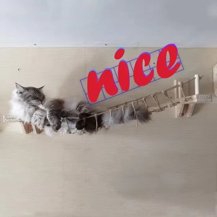 Pont mural pour chat, arbre pour animaux de compagnie