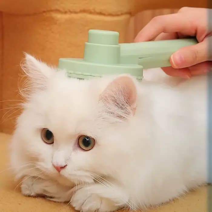 Brosse à cheveux pour chien et chat