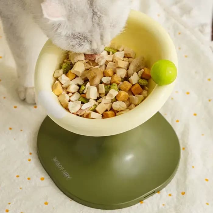 Gamelle en céramique pour chat