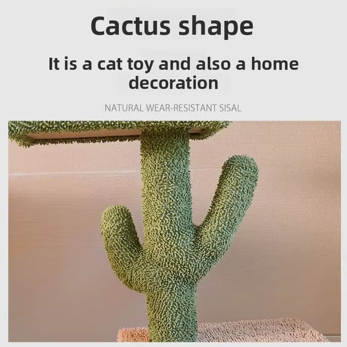 Arbre à chat Cactus d'hiver