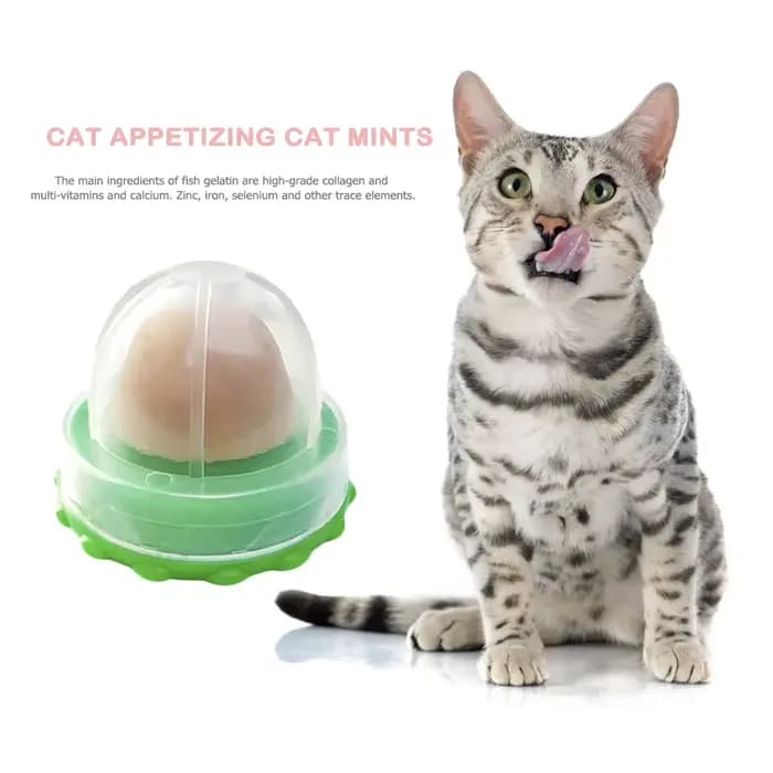 Bonbons à lécher l'herbe à chat pour chaton
