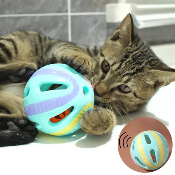 Cloche balle chat jouets chaton coloré jouer