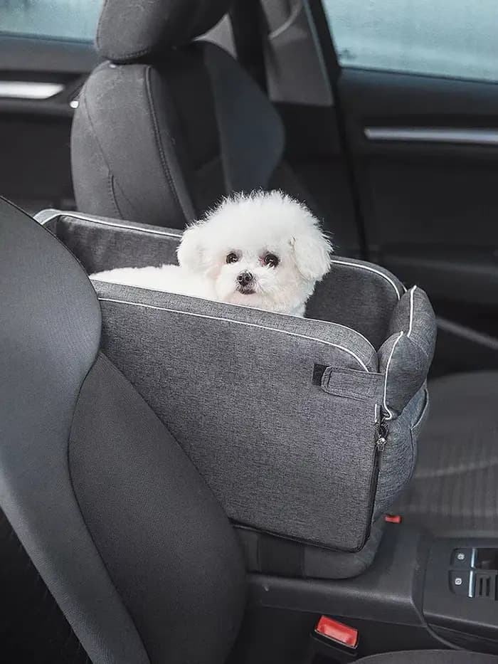 Maison chat accessoires Portable chien