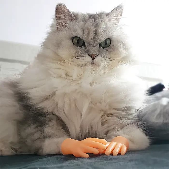Mini mains amusantes pour taquiner le chat
