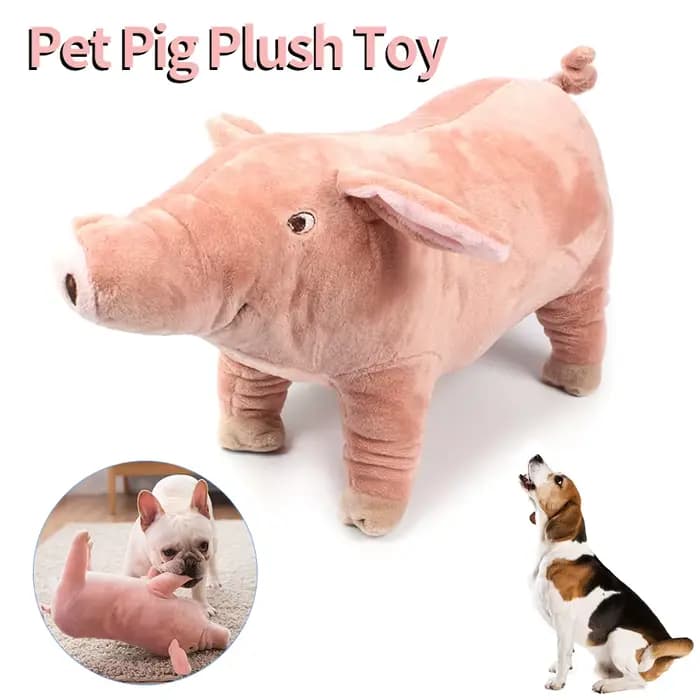 Jouet à mâcher en peluche pour animaux de compagnie