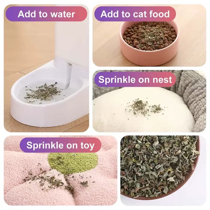 Jouet pour chat bio 100% naturel de haute qualité
