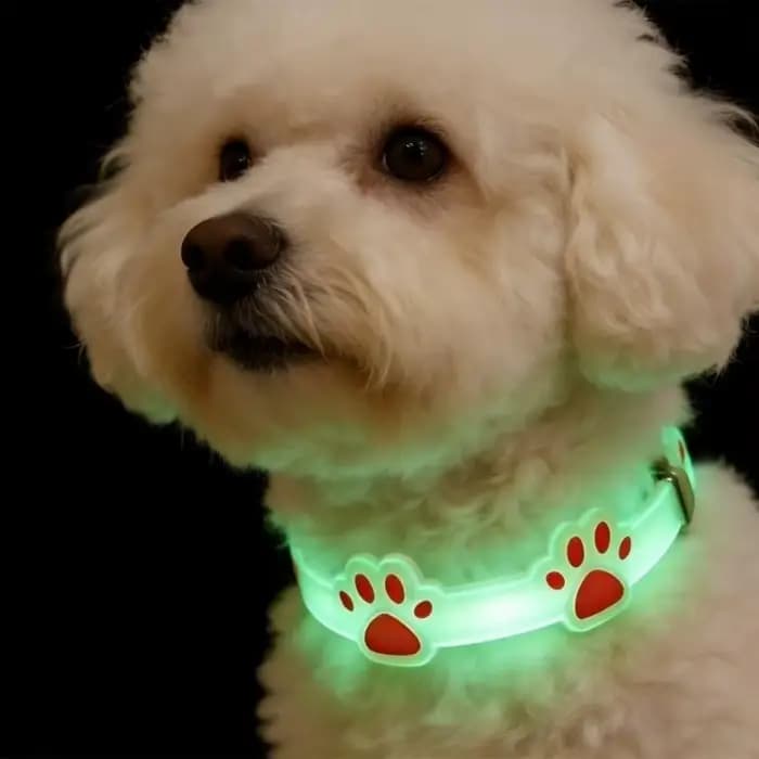 Collier réglable pour chat