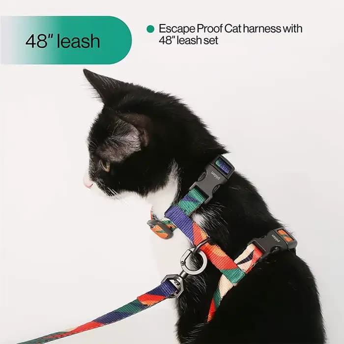 Ensemble harnais et laisse pour chat