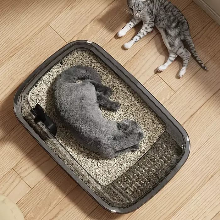 Bac à litière pour chat