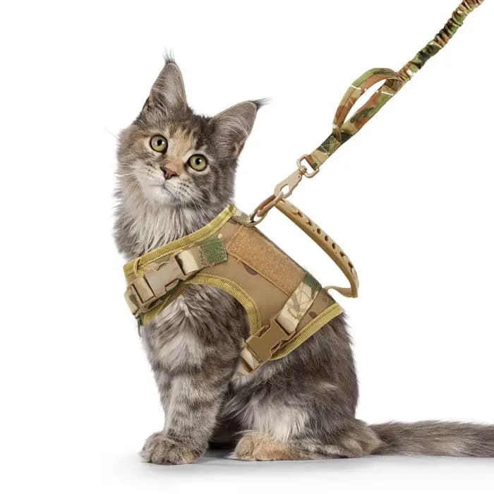 Ensemble harnais et laisse tactiques pour chat, pour la marche, anti-évasion, gilet pour animaux de compagnie, maille douce avec poignée de commande pour chats et petits chiens