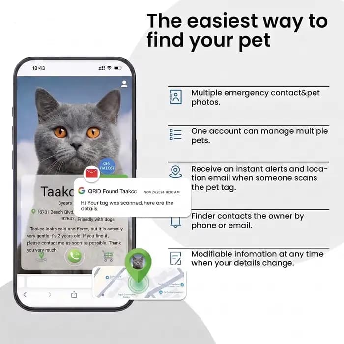 Collier pour chat avec code QR anti-perte et étiquette nominative