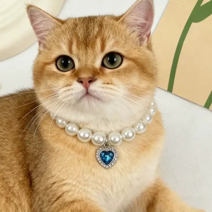 Nouveau collier de chat décoration animal de compagnie mignon exquis cou chaton réglable été