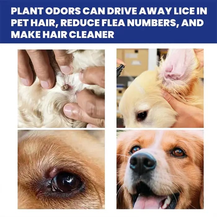 Gouttes anti-puces pour chiens et chats