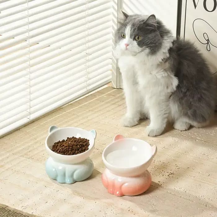 Bol en céramique pour chat