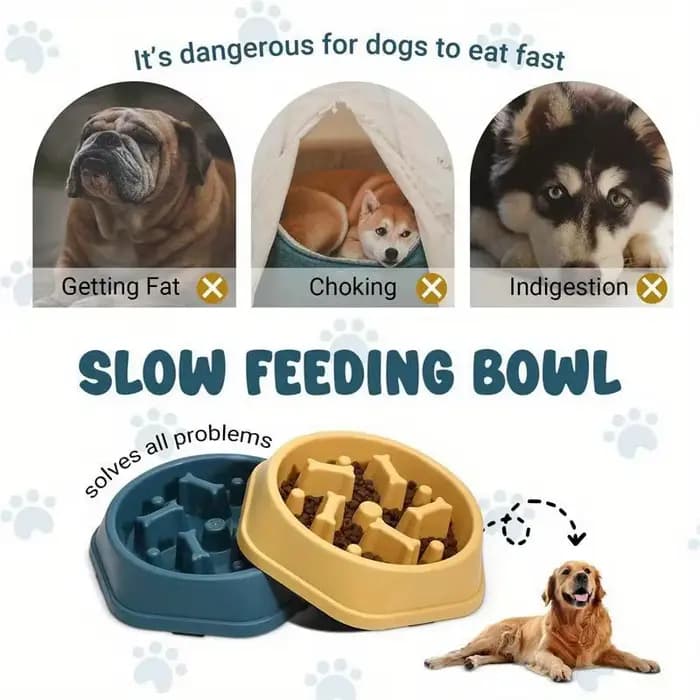 Bol à alimentation lente pour chien, anti-étouffement, accessoires pour animaux de compagnie, gamelle pour chien, alimentation saine, bol d'alimentation pour animaux