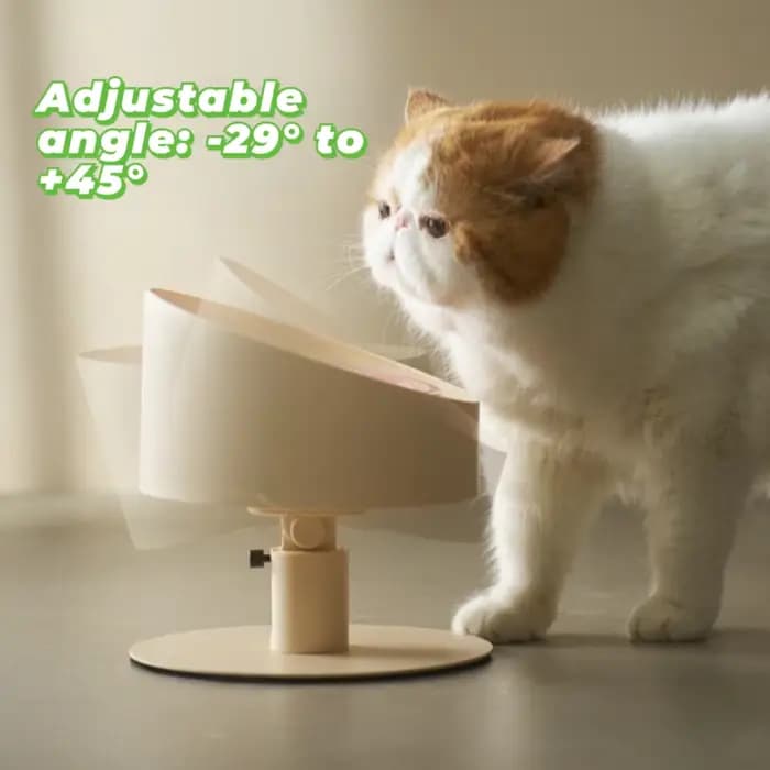 Bol pour nourriture pour chat
